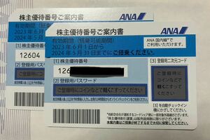 ANA株主優待券２枚　2024年5月31日まで