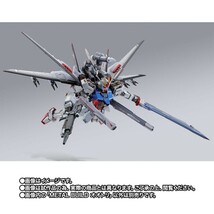 新品未開封 プレバン限定 METAL BUILD オオトリ　ストライクルージュ　カガリ・ユラ・アスハ　機動戦士ガンダムSEED　FREEDOM_画像3