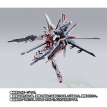 新品未開封 プレバン限定 METAL BUILD オオトリ　ストライクルージュ　カガリ・ユラ・アスハ　機動戦士ガンダムSEED　FREEDOM_画像5