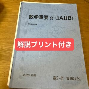 駿台 夏期　数学重要α 1A2B 西先生解説プリント付き