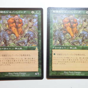 【MTG】年経たシルバーバック 日本語2枚セット ウルザズ・デスティニー UDS レアの画像1