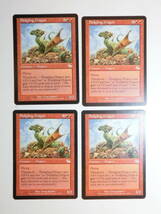 【MTG】巣立つドラゴン　英語4枚セット　ジャッジメント　JUD　レア_画像1