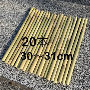 【20本】細竹 支柱 添木 添え木 竹支柱 ハンドメイド 家庭菜園 園芸