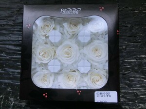 T【R3-58】【60サイズ】▲プリザーブドフラワー/アースマターズ/ローズ・いずみ 9輪 ピュアホワイト/薔薇 バラ/花