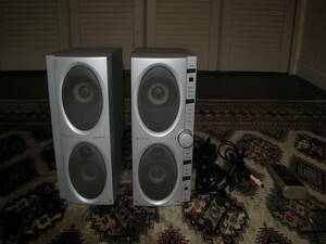 SONY digital Surround speaker system SRS-VS5 used beautiful goods 