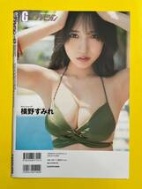 GT 1★横野すみれ★切り抜き13P グラビアザテレビジョン vol.69 2023 送料140円～_画像10