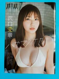 GT 16★沢口愛華★切り抜き18P グラビアザテレビジョン VOL.61 2022 送料230円