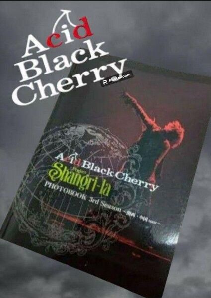 Acid Black Cherry//フォトブック~関西・中国~