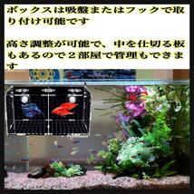 水槽☆魚☆繁殖☆隔離ケース☆孵化☆産卵箱☆魚の隔離☆飼育ボックス☆組み立て式_画像2