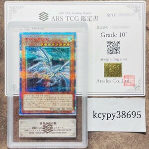 【ARS鑑定10+】世界に2枚 青眼の亜白龍 20th シークレットレア 20CP-JPF01 遊戯王 鑑定書PSA BGS ARS鑑定10+ 鑑定品 FINAL CHALLENGE PACK