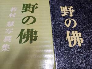 ★昭和３３年発行！　　箱付き豪華布製ハードカバー！　野の佛。