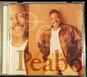 極美盤 Peabo Bryson Through The Fire/1994国内盤 Sony SRCS 6820/Beauty And The Beast, A Whole New World 収録