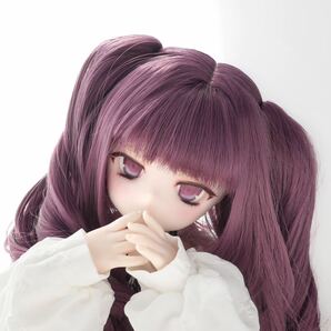 DDH-01 SW カスタムヘッド＋アイ 《しゃけまよねーず》の画像5