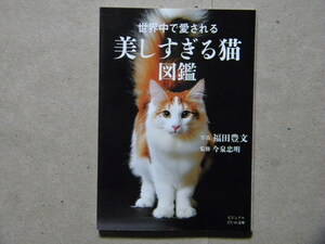 ◎世界中で愛される 美しすぎる猫図鑑●ビジュアルだいわ文庫/大和書房●