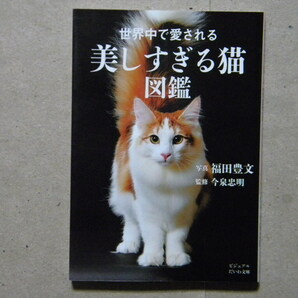 ◎世界中で愛される 美しすぎる猫図鑑●ビジュアルだいわ文庫/大和書房●の画像1