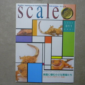 ◎scale スケイル 011 爬虫類・両生類情報誌●ニューカレドニアのゲッコー/ヤモリ●チズガメ/他●トカゲ/ヘビ/カエル/カメ/ビバリウムの画像1