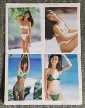 可愛かずみさんの写真（Lサイズ27枚）とアルバム_画像1