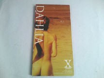 【CD】X JAPAN　DAHLIA　／8cm　シングルCD_画像1