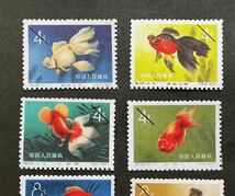 ◆中国切手鑑賞◆金魚シリーズ 12種完　1960年_画像2