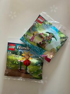 【LEGO/レゴセット】ディズニー/プリンセス＆Friends/フラワーガーデン