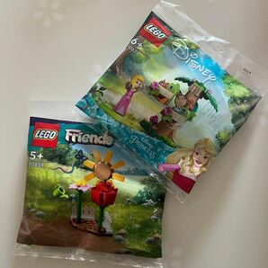 【LEGO/レゴセット】ディズニー/プリンセス＆Friends/フラワーガーデン