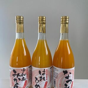 愛媛 宇和島 みかんジュース 720ml 3本セット