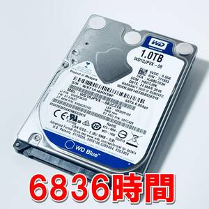 【HDD 1TB】WD Blue 2.5インチ 9.5ｍｍ ハードディスク 使用時間6836時間　[HS8F1000HD119]