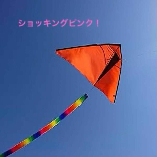 【超簡単に揚がる凧 】こどもの日、楽しく家族で大空なたこあげませんか？たこ 凧 