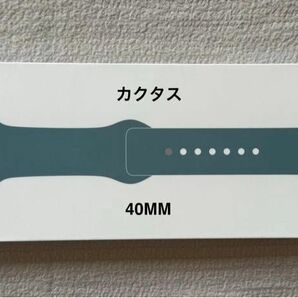 Apple Watch 純正バンド 40mm 純正バンド カクタス スポーツバンド - レギュラー [MXNT2FEA]　