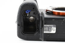 ショット数 4044回 SONY ソニー α7S II ボディ ILCE-7SM2 フルサイズミラーレス一眼カメラ バッテリー3個付 (3841)_画像9