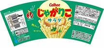 カルビー じゃがりこサラダ 57g×12個_画像2