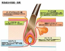 アクセルレーター ヘアアクセルレーターL (レモンライムの香り) 150mL_画像3