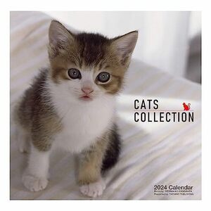 2024年 Cats Collectionカレンダー (辰巳出版) No.064