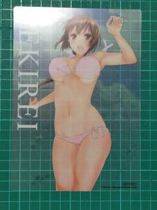 極楽院櫻子 ビジュアルコレクションブック SEKIREI ENDEARMENT　特典クリアシート　非売品　B42