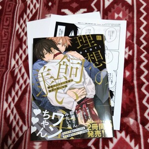 新品購入一読★新刊BLコミ★職場のイケメン営業は理想の飼い主様★nocori★帯有ぺーパー2枚付★1.3センチ★コミコミスタジオ