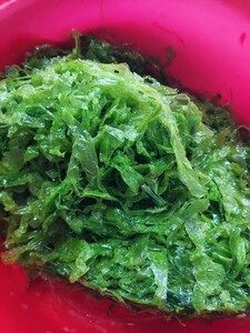  aonori seaweed 500g1p1234 jpy prompt decision 