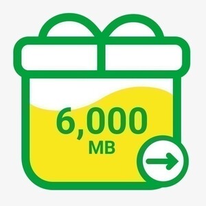 6GB mineo パケットギフト 6000MB 即決