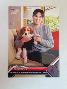 TOPPS NOW 2023 大谷翔平 愛犬 SHOHEI OHTANI MVP OS 19