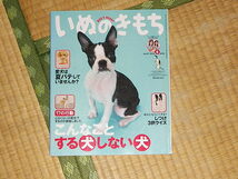 いぬのきもち 2009.8月号 こんなことする犬しない犬 付録なし 美品_画像1