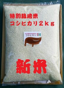 ◆新米◆[白米]特別栽培米コシヒカリ２ｋｇ有機肥料減農薬栽培
