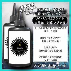 シリコンモールド　ハートシェイカーに最適に　サラサラ低粘度レジン液　100g 2本 フラッシュ