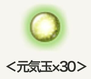 ドラゴンクエスト10 ドラゴンクエストX 元気玉30個　超元気玉30個　30周年お祝い宝箱特典　ゲーム内アイテムコード