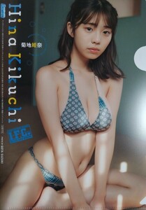 菊地姫奈 別冊ヤングチャンピオン付録 両面クリアファイル 新品　