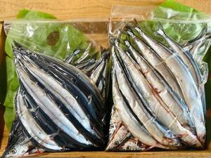 秋刀魚1kg 瞬間冷凍！送料一律！愛媛県豊後水道漁師直送！冷凍発送 さんま サンマ