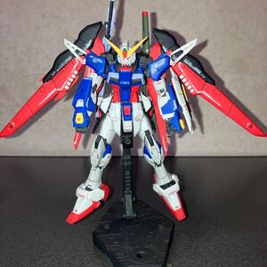 RG 1/144 DESTINY GUNDAM デスティニーガンダム　墨入れ　トップコート　完成品 ガンプラ　SEED