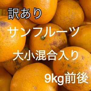 訳ありサンフルーツ　大小混合入り　9kg前後