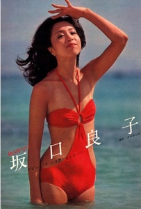 ▽彡坂口良子　激やば股間　A1サイズ・ポスター