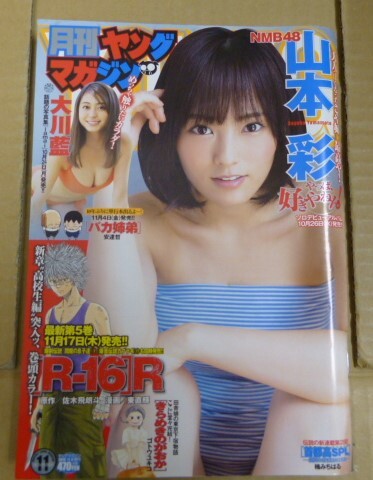 本　月刊ヤングマガジン　2016年11月5日　増刊号　No.11　（グラビア）山