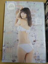 本 ヤングマガジン　2013年6月17日　No.27　（グラビア）柏木由紀・新川優愛　_画像2