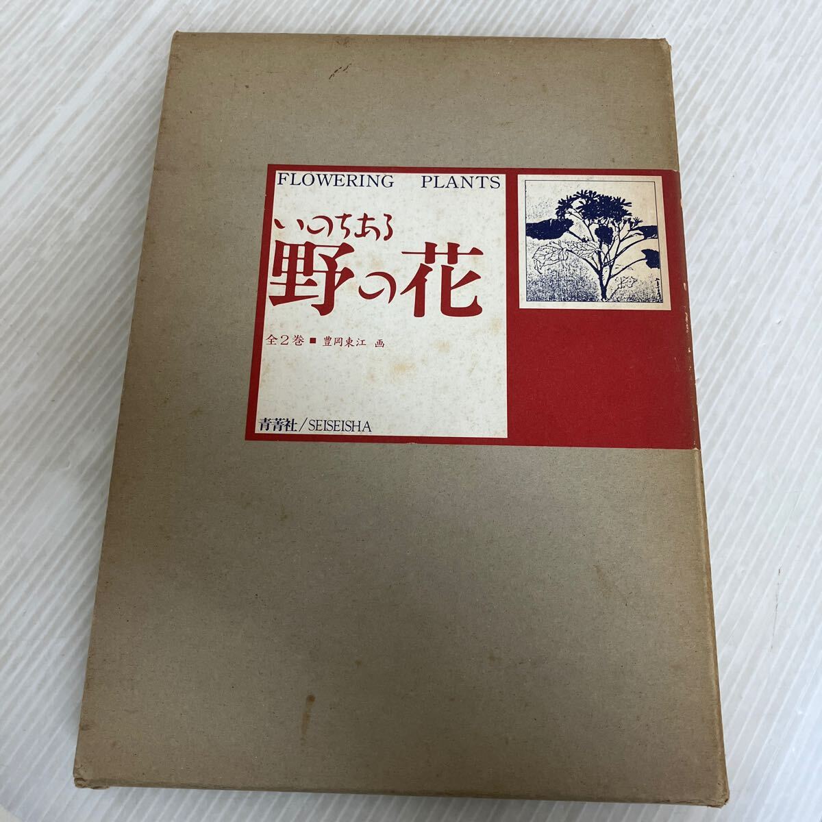 M-ш/开花植物：活野花, 两套书, 插画：丰冈东植, 月 26 日发布, 1990 年由 Seiseisha 创作, 绘画, 画集, 美术书, 收藏, 画集, 美术书